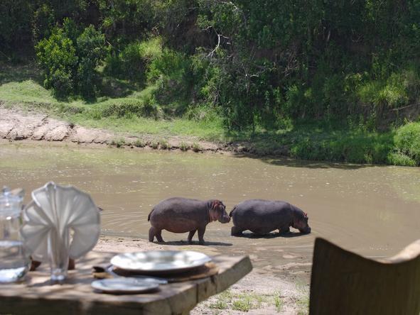 Naibor Luxury Camp - Hippos 